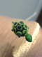 Skildpadde 12 - Grøn